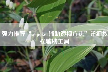 强力推荐“wepoker辅助透视方法”详细教程辅助工具