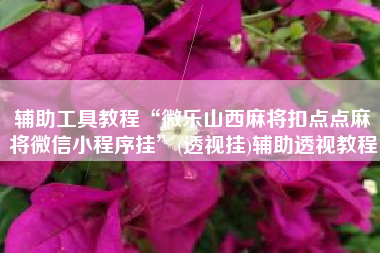 辅助工具教程“微乐山西麻将扣点点麻将微信小程序挂	”(透视挂)辅助透视教程