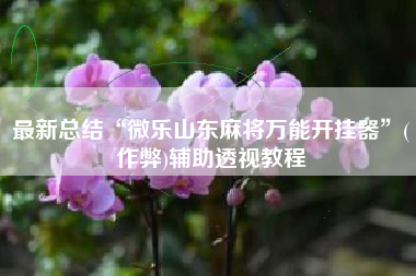 最新总结“微乐山东麻将万能开挂器”(作弊)辅助透视教程