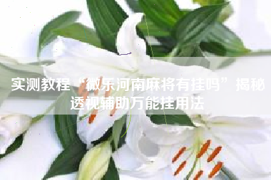 实测教程“微乐河南麻将有挂吗	”揭秘透视辅助万能挂用法