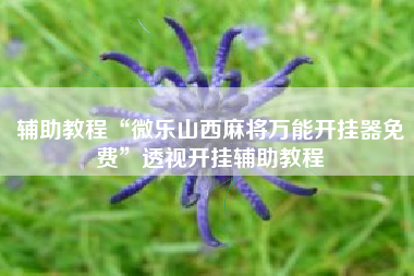 辅助教程“微乐山西麻将万能开挂器免费”透视开挂辅助教程