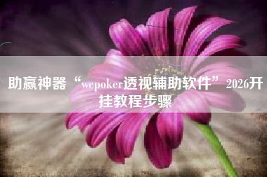 助赢神器“wepoker透视辅助软件	”2026开挂教程步骤