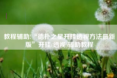 教程辅助!“德扑之星开挂透视方法最新版”开挂(透视)辅助教程