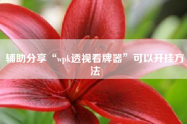 辅助分享“wpk透视看牌器	”可以开挂方法