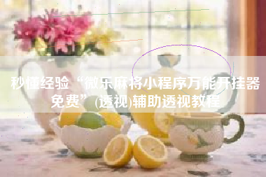 秒懂经验“微乐麻将小程序万能开挂器免费	”(透视)辅助透视教程