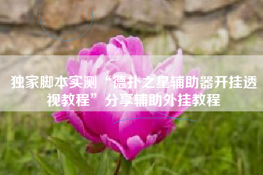 独家脚本实测“德扑之星辅助器开挂透视教程”分享辅助外挂教程