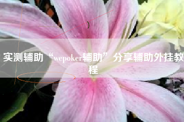 实测辅助“wepoker辅助”分享辅助外挂教程