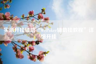 实测开挂辅助“WePoker辅助挂教程	”详细开挂