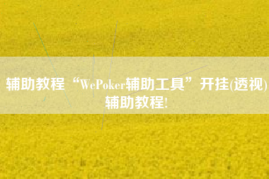 辅助教程“WePoker辅助工具”开挂(透视)辅助教程!