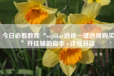 今日必看教程“wepoker透视一键透视购买”开挂辅助脚本+详细开挂