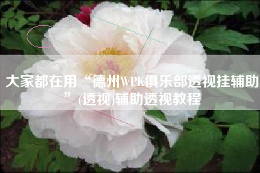 大家都在用“德州WPK俱乐部透视挂辅助	”(透视)辅助透视教程