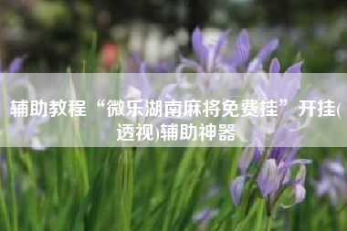 辅助教程“微乐湖南麻将免费挂”开挂(透视)辅助神器