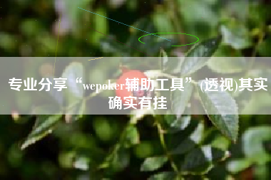 专业分享“wepoker辅助工具”(透视)其实确实有挂