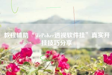 教程辅助“WePoKer透视软件挂”真实开挂技巧分享