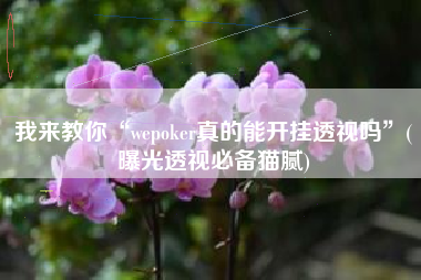 我来教你“wepoker真的能开挂透视吗	”(曝光透视必备猫腻)