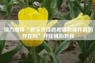 强力推荐“微乐外挂透视辅助插件真的存在吗”开挂辅助教程