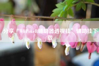 分享“WEPokeR辅助器透视挂	”辅助挂下载