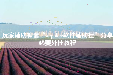 玩家辅助神器“wepoker软件辅助挂”分享必要外挂教程