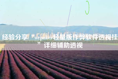 经验分享“wepoker轻量版作弊软件透视挂	”详细辅助透视