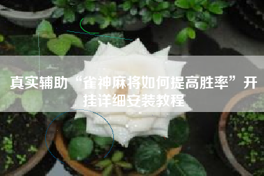 真实辅助“雀神麻将如何提高胜率	”开挂详细安装教程