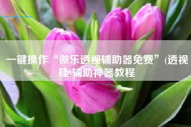 一键操作“微乐透视辅助器免费”(透视挂)辅助神器教程