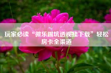 玩家必读“微乐踢坑透视挂下载”轻松房卡全渠道