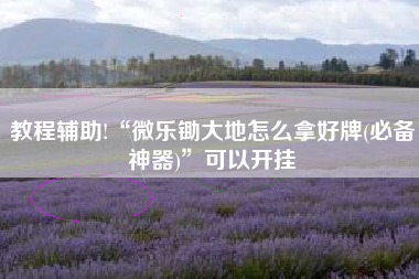 教程辅助!“微乐锄大地怎么拿好牌(必备神器)”可以开挂