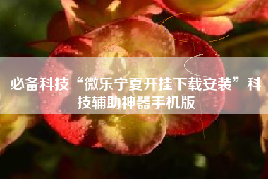 必备科技“微乐宁夏开挂下载安装”科技辅助神器手机版