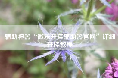 辅助神器“微乐开挂辅助器官网”详细开挂教程