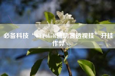 必备科技“WEPokeR辅助器透视挂”开挂作弊