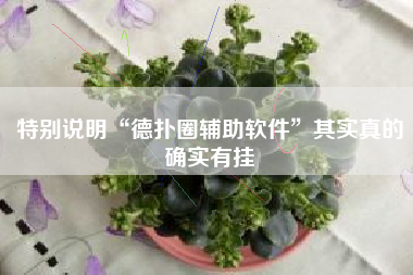 特别说明“德扑圈辅助软件	”其实真的确实有挂
