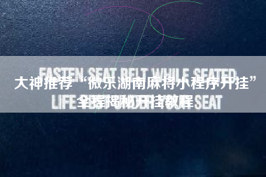 大神推荐“微乐湖南麻将小程序开挂”全程揭秘开挂教程