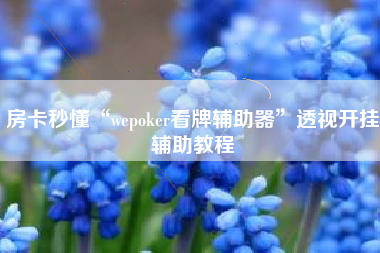 房卡秒懂“wepoker看牌辅助器	”透视开挂辅助教程