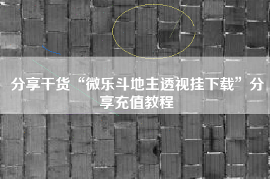 分享干货“微乐斗地主透视挂下载”分享充值教程