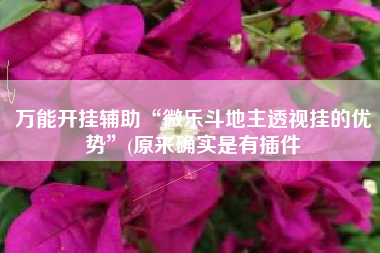 万能开挂辅助“微乐斗地主透视挂的优势	”(原来确实是有插件