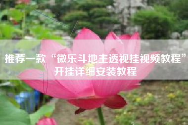 推荐一款“微乐斗地主透视挂视频教程	”开挂详细安装教程