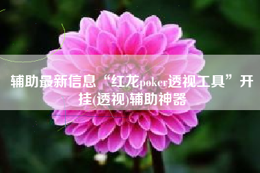 辅助最新信息“红龙poker透视工具”开挂(透视)辅助神器