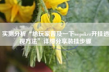 实测分析“给玩家普及一下wepoker开挂透视方法”详细分享装挂步骤