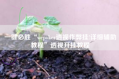 一键必胜“wepoker透视作弊挂!详细辅助教程	”透视开挂教程