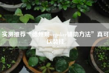 实测推荐“德州局wepoker辅助方法”真可以装挂