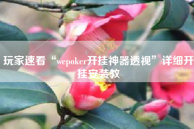 玩家速看“wepoker开挂神器透视”详细开挂安装教