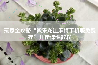 玩家全攻略“微乐龙江麻将手机版免费挂”开挂详细教程