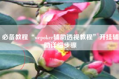 必备教程“wepoker辅助透视教程”开挂辅助详细步骤
