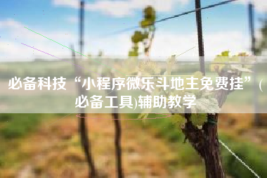 必备科技“小程序微乐斗地主免费挂”(必备工具)辅助教学