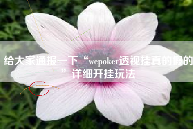 给大家通报一下“wepoker透视挂真的假的”详细开挂玩法