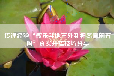 传递经验“微乐斗地主外卦神器真的有吗”真实开挂技巧分享