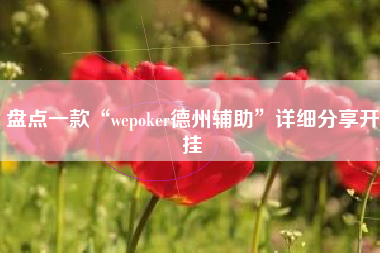 盘点一款“wepoker德州辅助”详细分享开挂