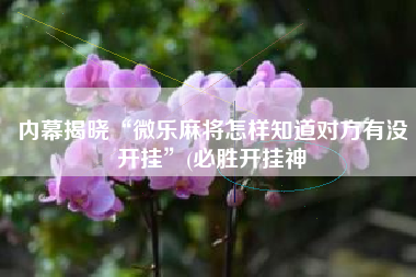 内幕揭晓“微乐麻将怎样知道对方有没开挂	”(必胜开挂神