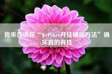 我来告诉你“WePoker开挂辅助方法	”确实真的有挂