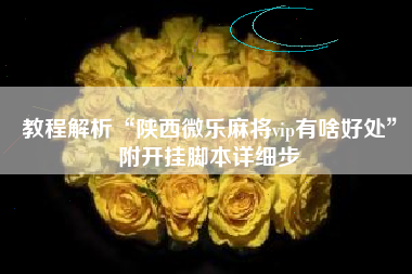 教程解析“陕西微乐麻将vip有啥好处	”附开挂脚本详细步